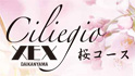 XEX 代官山 / Salvatore Cuomo Bros．