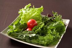 契約農場直送の野菜
