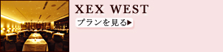  XEX WEST